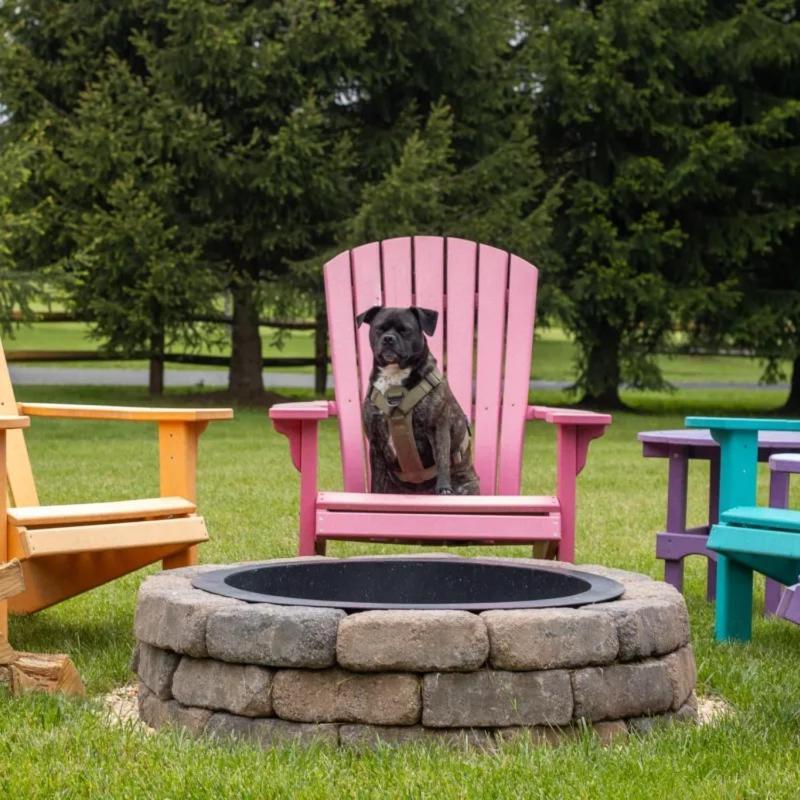 Fenced Yard From Good Dog Vacations At Big Valley Sciota