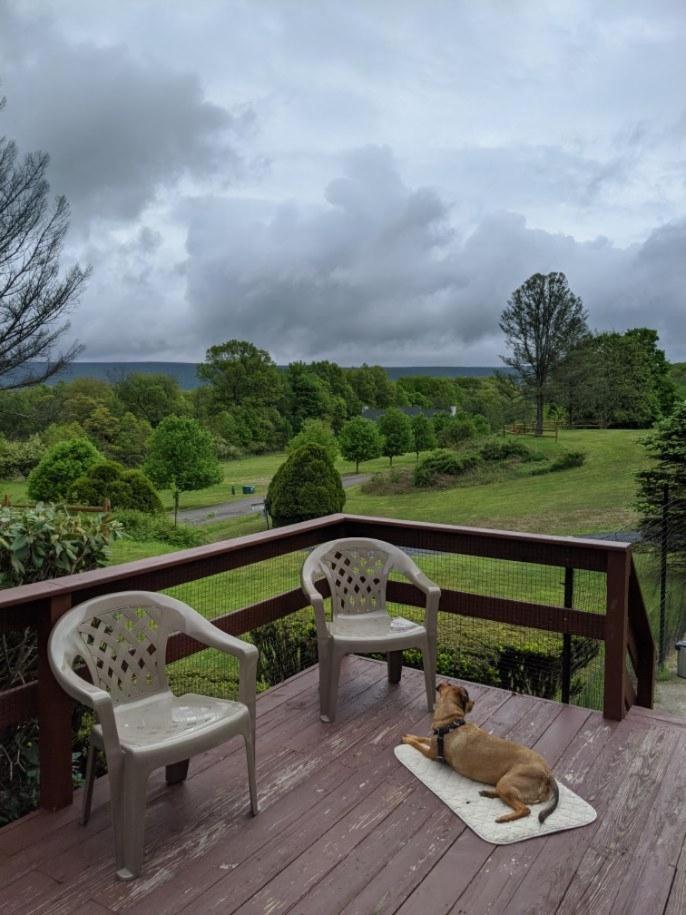 Fenced Yard From Good Dog Vacations At Big Valley