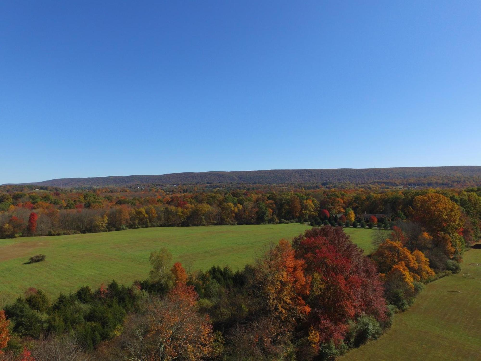 Fenced Yard From Good Dog Vacations At Big Valley *
